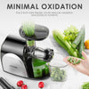 Juicer, Aicook Slow Masticating Juicer, Cold Press Juicer Machine, Higher Juicer Yield and Drier Pulp, Juice Extractor with Quiet Motor and Reverse Function, Easy to Clean