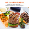 Tenergy Redigrill Smoke-Less Infrared Grill, Indoor Grill, Heating Electric Tabletop Grill, Non-Stick Easy to Clean BBQ Grill, for Party/Home, ETL Certified